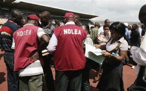 Ndlea Releases List Of Newly Recruited Officers City People Magazine