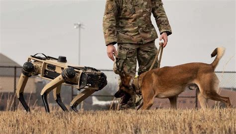 États Unis des chiens robots déployés à la frontière avec le Mexique