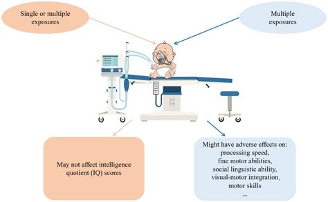 Frontiers Anesthesia And Developing Brain What Have We Learned From