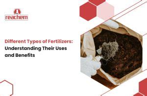 Different Types Of Fertilizers Understanding Their Uses And Benefits