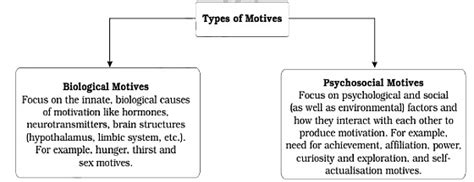 Motivation And Emotion Class Psychology