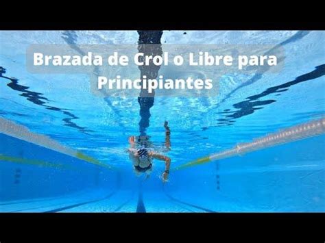 Brazada De Libre O Crol Para Principiantes Fases De La Brazada