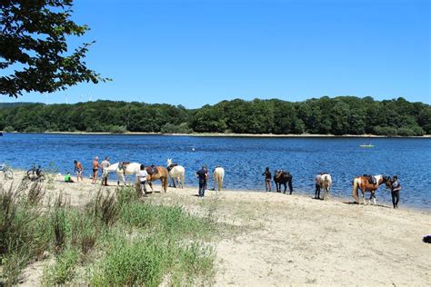 PNR du Haut Languedoc Randonnées équestres sur TERRE EQUESTRE