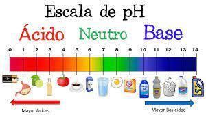 La Importancia Del Valor Del Ph En La Asimilaci N De Medicamentos Y