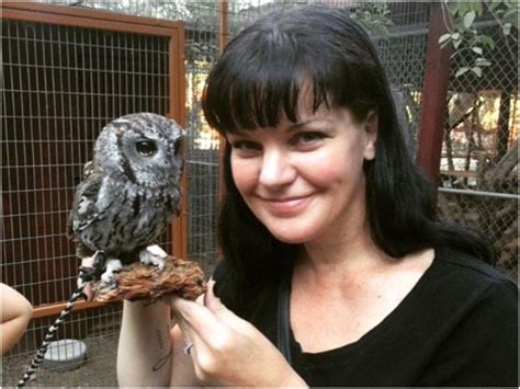 Catch A Glimpse Of The Cosmos In The Starry Eyes Of This Rescued Blind Owl History All Day