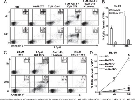 Figure 3 From Disease Modulation Leukocyte Galectin 1 Ligands And