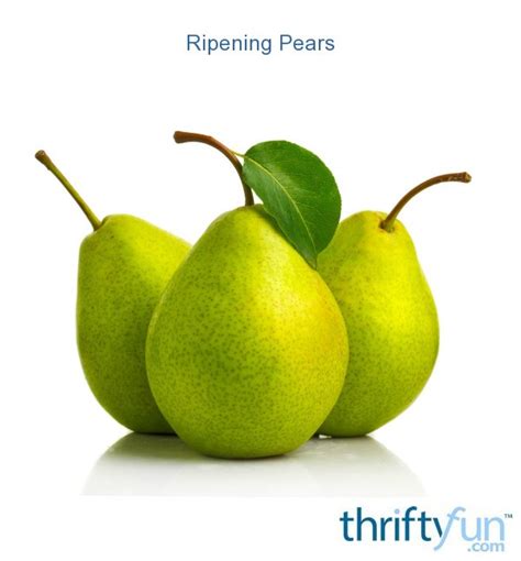 Ripening Pears Thriftyfun