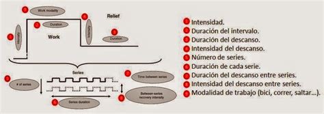 Esencia Preparación Física Y Salud ¿qué Es El Hit Entrenamiento