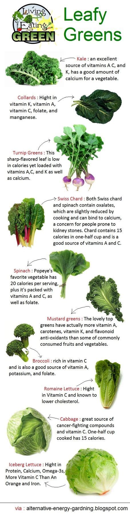 Leafy Green Vegetables INFOGRAPHIC Greens Are The No 1 Food You Can