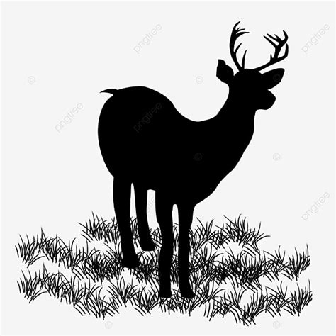 Buck Silhouette Outline