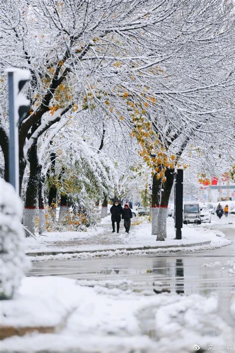 前几天，聊城迎来了2023年的第一场雪，点点雪花，点缀在天地间财经头条