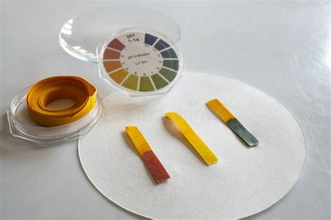 Acid Base Detection Through Litmus Paper The Color Of The Paper Identifies An Acid Or Basic