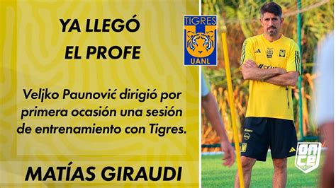 LA PRIMERA PRÁCTICA DE VELJKO PAUNOVIĆ CON TIGRES ONCE Diario YouTube