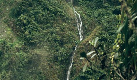 Vilcabamba, the Valley of Longevity – Wanderbus Ecuador