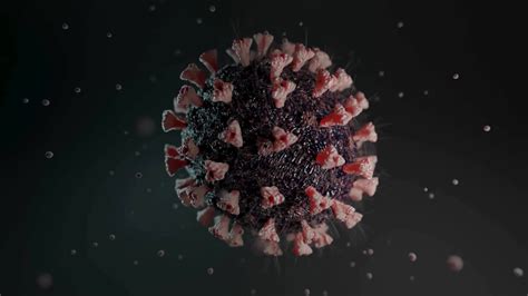 Dark Background Red Spikes Black Nucleus Virus Suitable For Medical