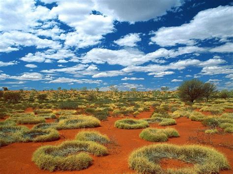 Australian Countryside Wallpapers Top Free Australian Countryside