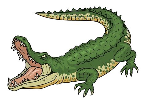 Premium Vector | Crocodile vector illustration of a angry alligator ...