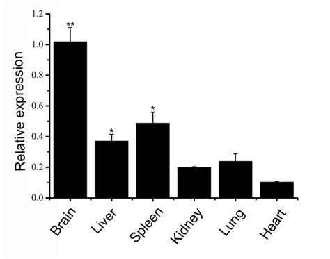 Figures and data in FAM76B regulates NF κB mediated inflammatory