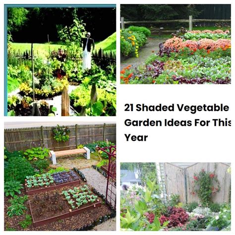 21 Shaded Vegetable Garden Ideas For This Year Sharonsable