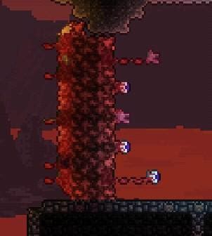 Behold, The Fence of Flesh : r/Terraria