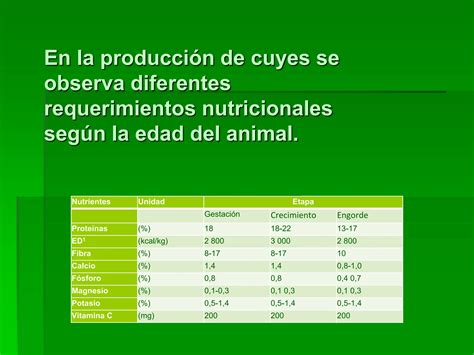 Crianza Y Manejo De Cuyes Presentacion Ppt