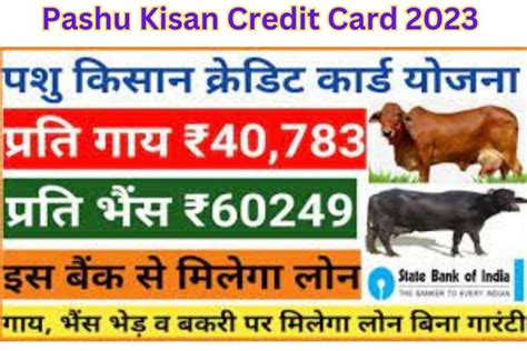 Pashu Kisan Credit Card 2023 कैसे प्राप्त करे पशु किसान क्रेडिट कार्ड