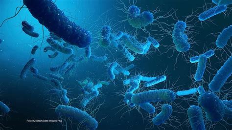 E. coli O157:H7 Outbreak in King County, Washington Sickens 7