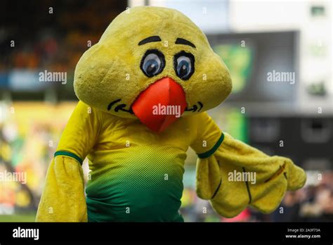 Norwich City Mascot Hi Res Stock Photography And Images Alamy