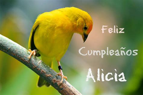 Feliz cumpleaños Alicia La mejor fotografa de Colibris S Flickr