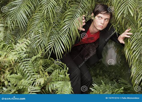 Young Man Exploring Nature Stock Photo Image Of Exploring 15791374