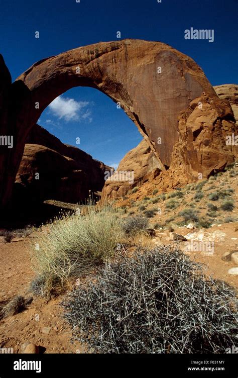 Natural Rock Arch Rainbow Bridge National Monument Utah United