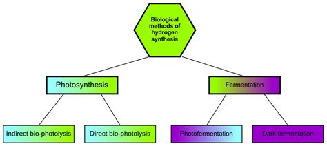 Energies Free Full Text Evaluation Of Biohydrogen Production