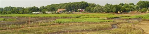 Woodbridge-Salt-Marsh-Restoration | Sumco - Specialized Civil and Ecological Construction