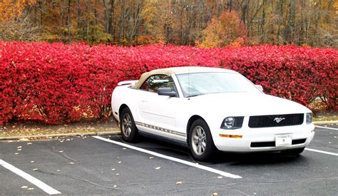 2006 Ford mustang v6 horsepower