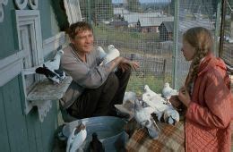 Любовь и голуби (1985) — Фильм.ру