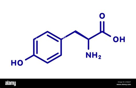 Formule Mol Culaire Chimique Tyrosine Banque De Photographies Et D