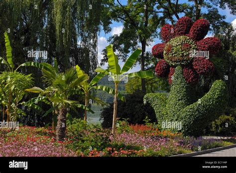 La Escultura Flores Flor De La Isla De Mainau Lago Constanza