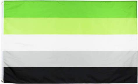 Flaglink Demisexual Pride Flag 3x5 Fts Lgbtqia