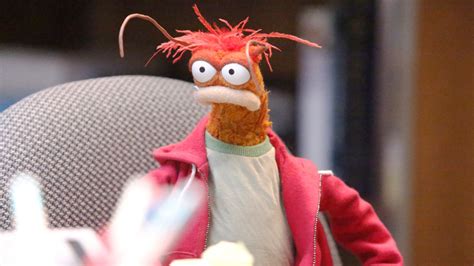 Pepe The King Prawn Meme The Reality Behind The Viral Tiktok Trend