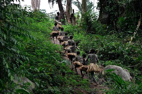 Pygmy Boys in Ituri Forest - Manhood Ritual March through DR Congo