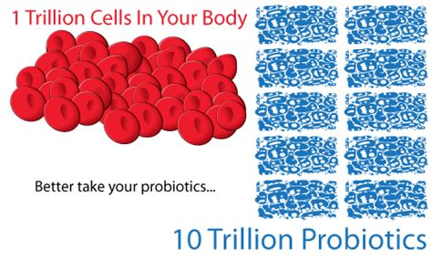 21 Amazing Facts About Probiotics — Probiotics.org