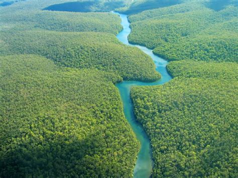 ECOSISTEMAS acuáticos de AGUA DULCE: ejemplos y características - Resumen