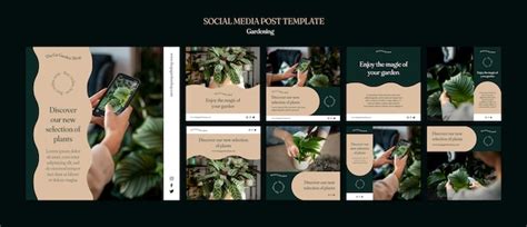 Free PSD | Horizontal banner template for indoor plant growing