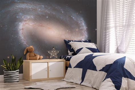 Barred Spiral Galaxy Wall Mural - Space Wallpaper Murals - Eazywallz