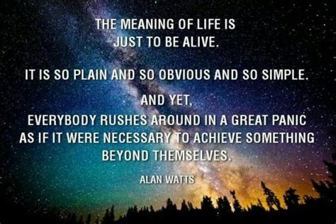 Alan Watts Quotes On Death Quotesgram