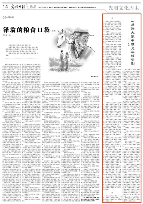 光明日报：从洪涛大浪中瞧见华侨背影 澎湃号·政务 澎湃新闻 The Paper