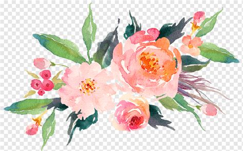 Ilustra O De Flores De P Talas De Rosa Aquarela Flores Aquarela