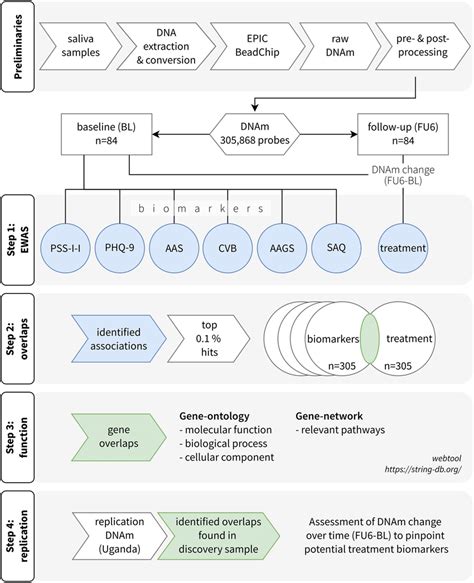 Scheme Of Study Methodology From Top To Bottom Diagram Shows The Four