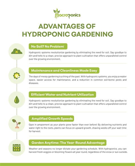 Next Generation Cultivation Automated Nutrient Dosing In Hydroponics