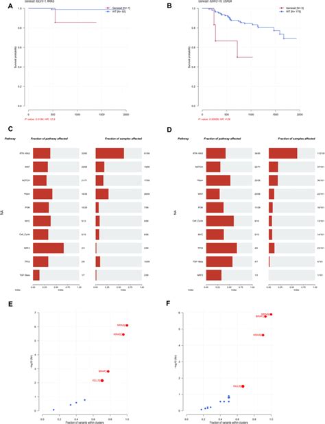 Comparative Analysis Of Key Pathways Affected By Mutations And Driver